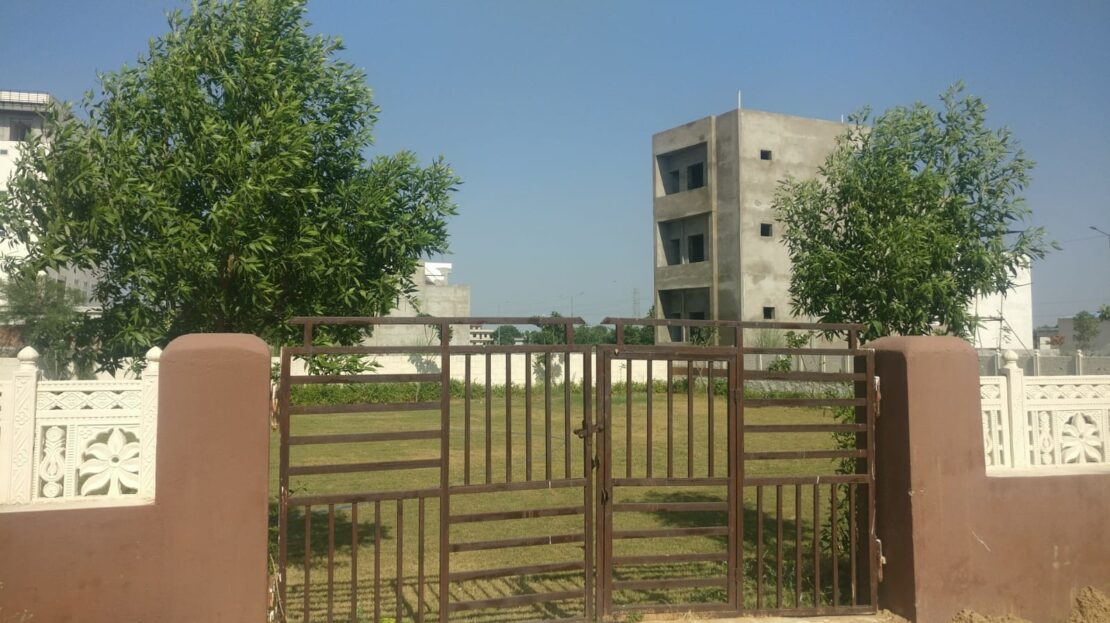 video image